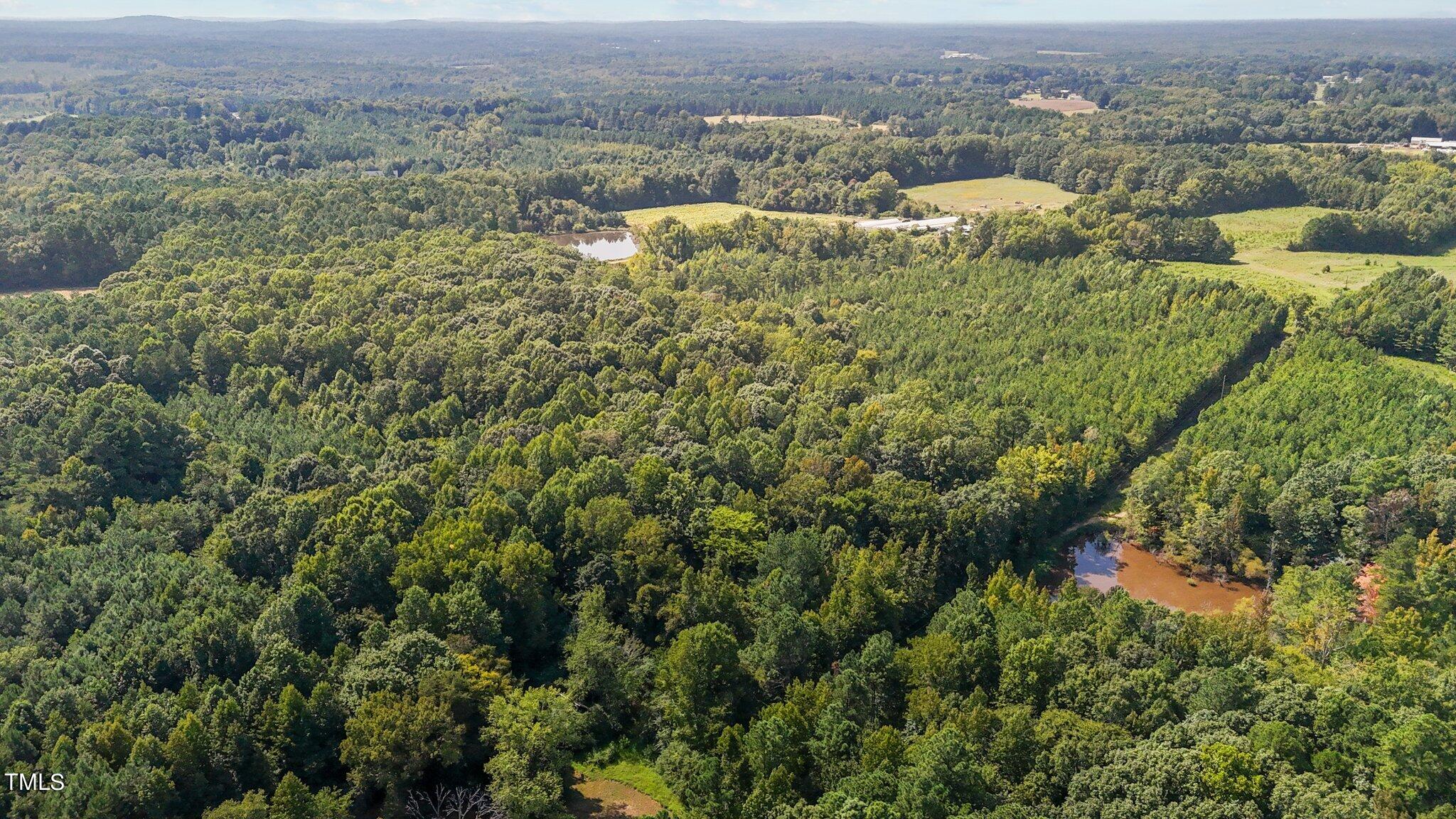 2 B Watkins Road Oxford, NC 27565 - Photo 8 of 9 4-web-or-mls-DJI_20240826152353_0795_D