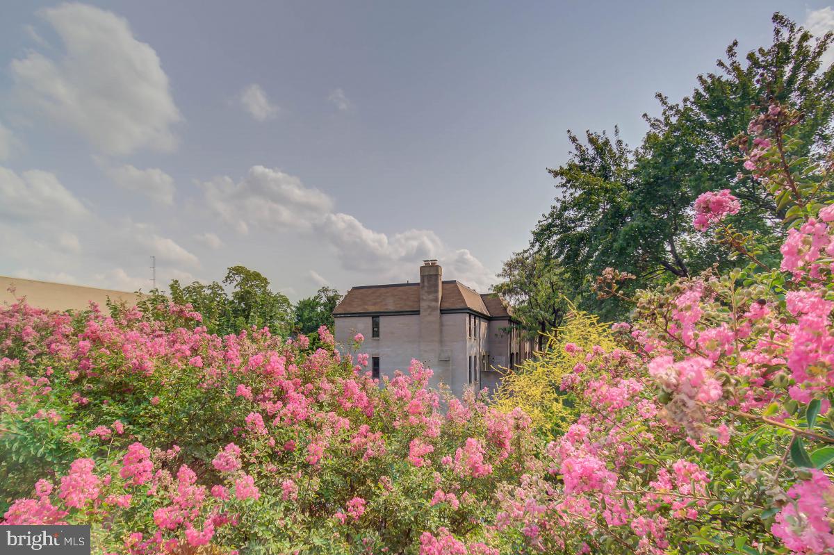 1201 O Street Northwest, Unit 2A Washington, DC 20005 - Photo 11 of 31