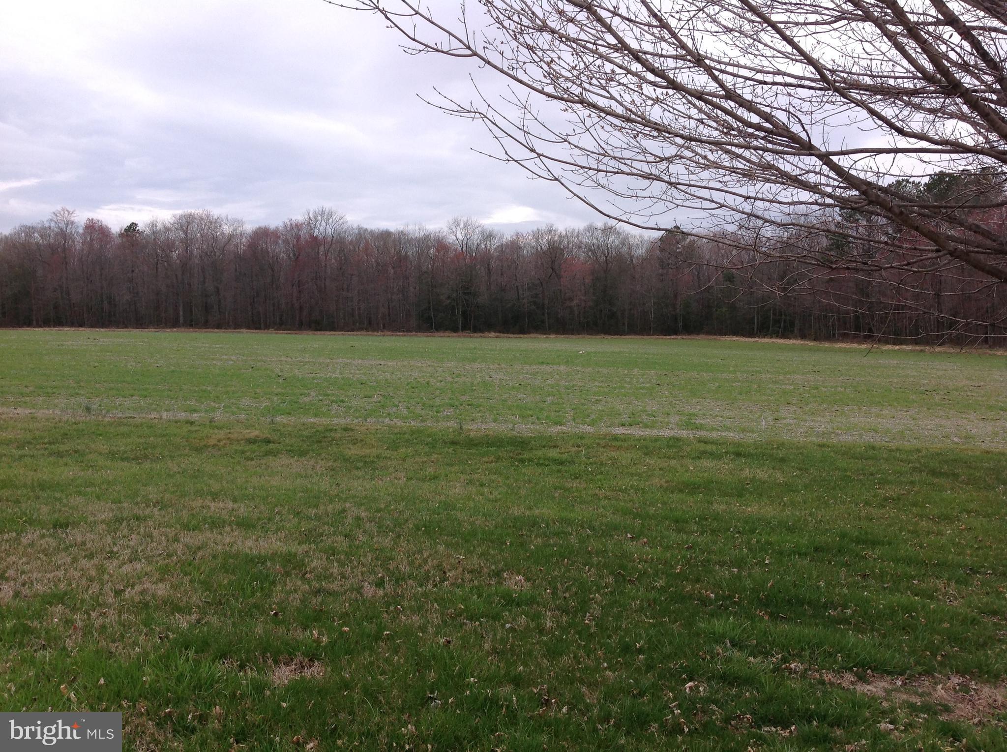 623 Amsterdam Road Felton, DE 19943 - Photo 8 of 22 Gallery Image 8