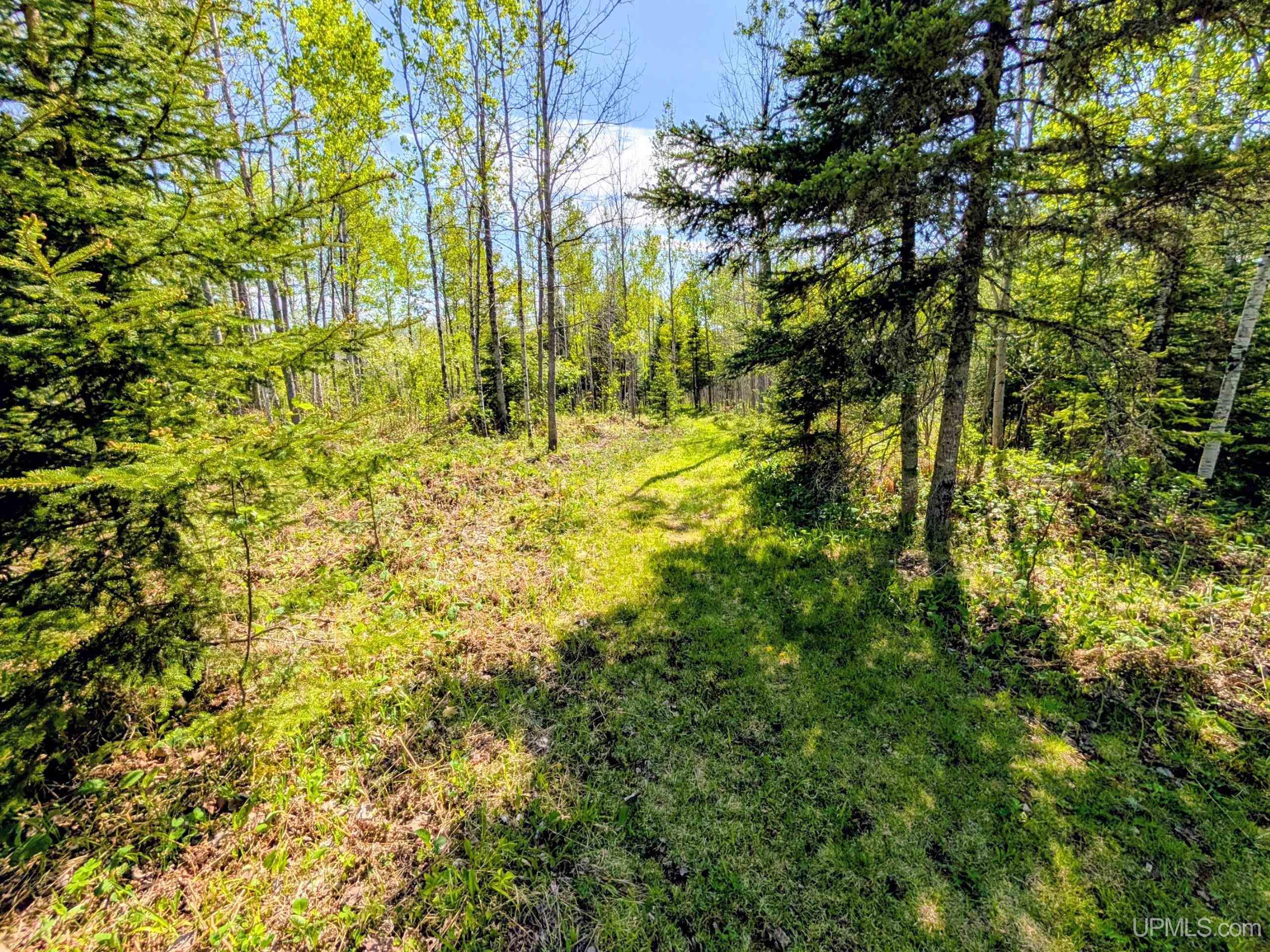 1101 Bates-Amasa Road Iron River, MI 49935 - Photo 28 of 35