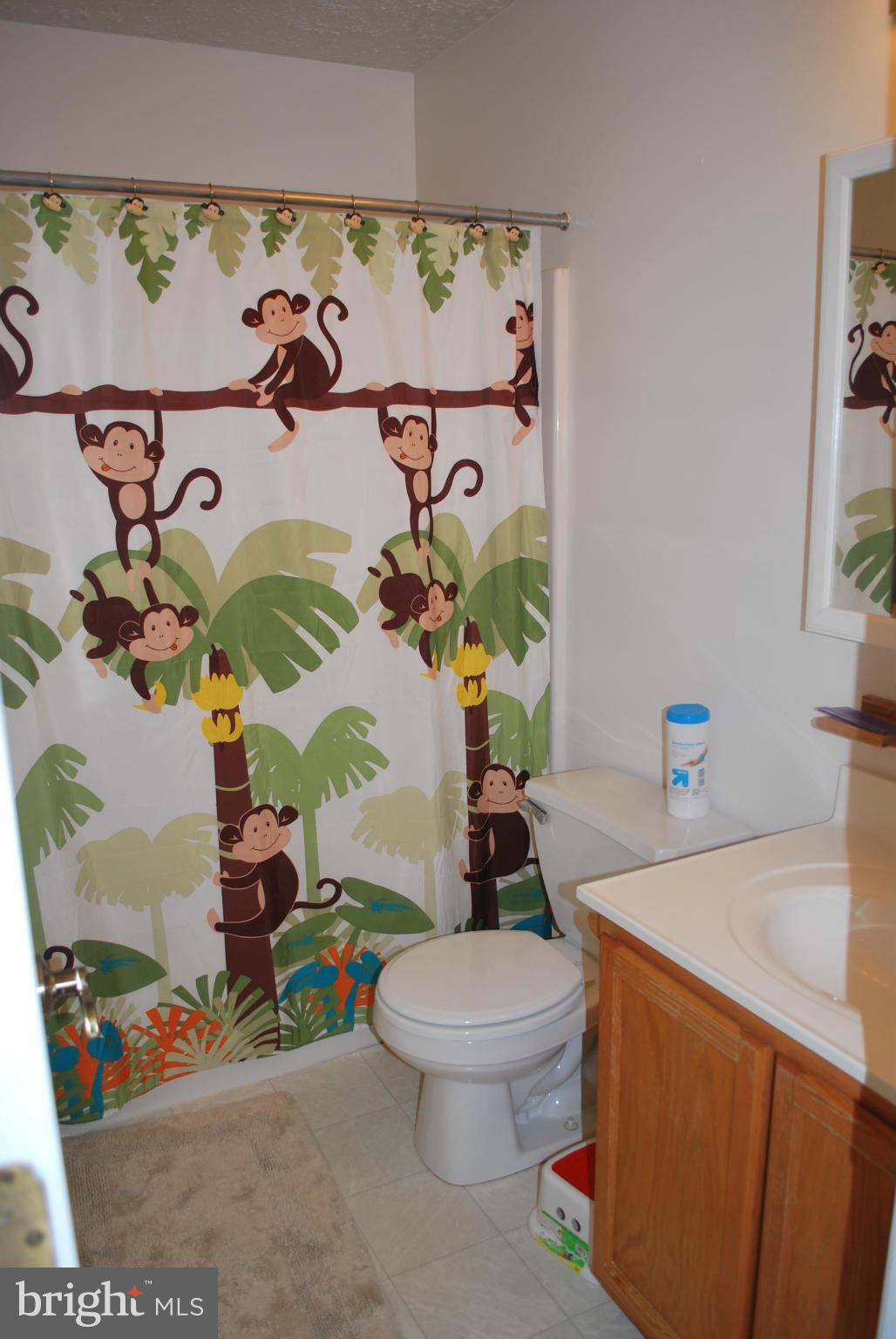 12970 West Hatton Road Newburg, MD 20664 - Photo 18 of 30 Bath