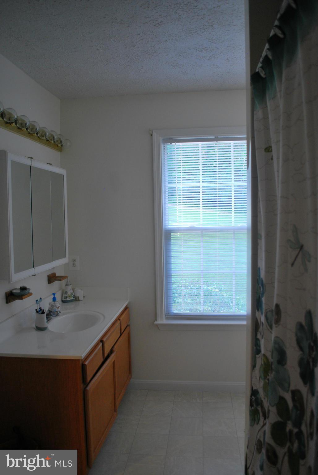 12970 West Hatton Road Newburg, MD 20664 - Photo 20 of 30 Bath (Master)