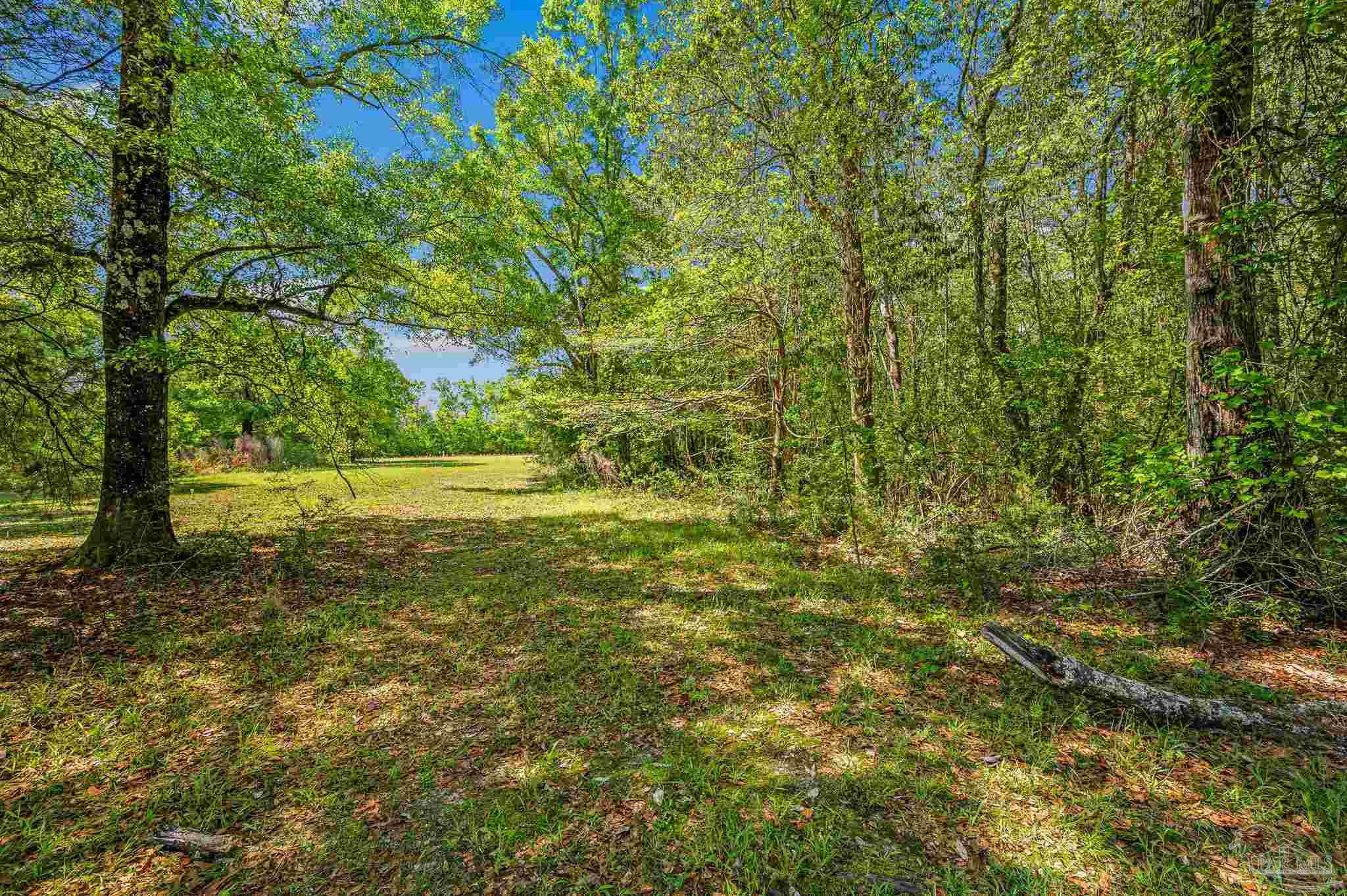 3015 Molino Road Molino, FL 32577 - Photo 6 of 35 a view of a yard with a tree