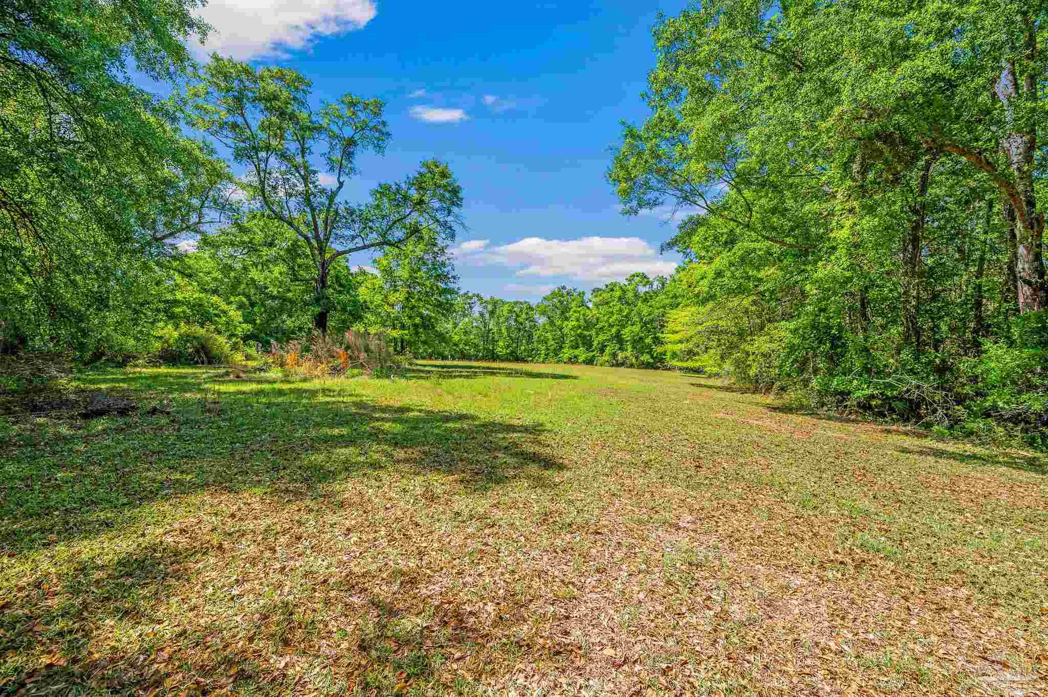 3015 Molino Road Molino, FL 32577 - Photo 7 of 35 a view of yard with green space