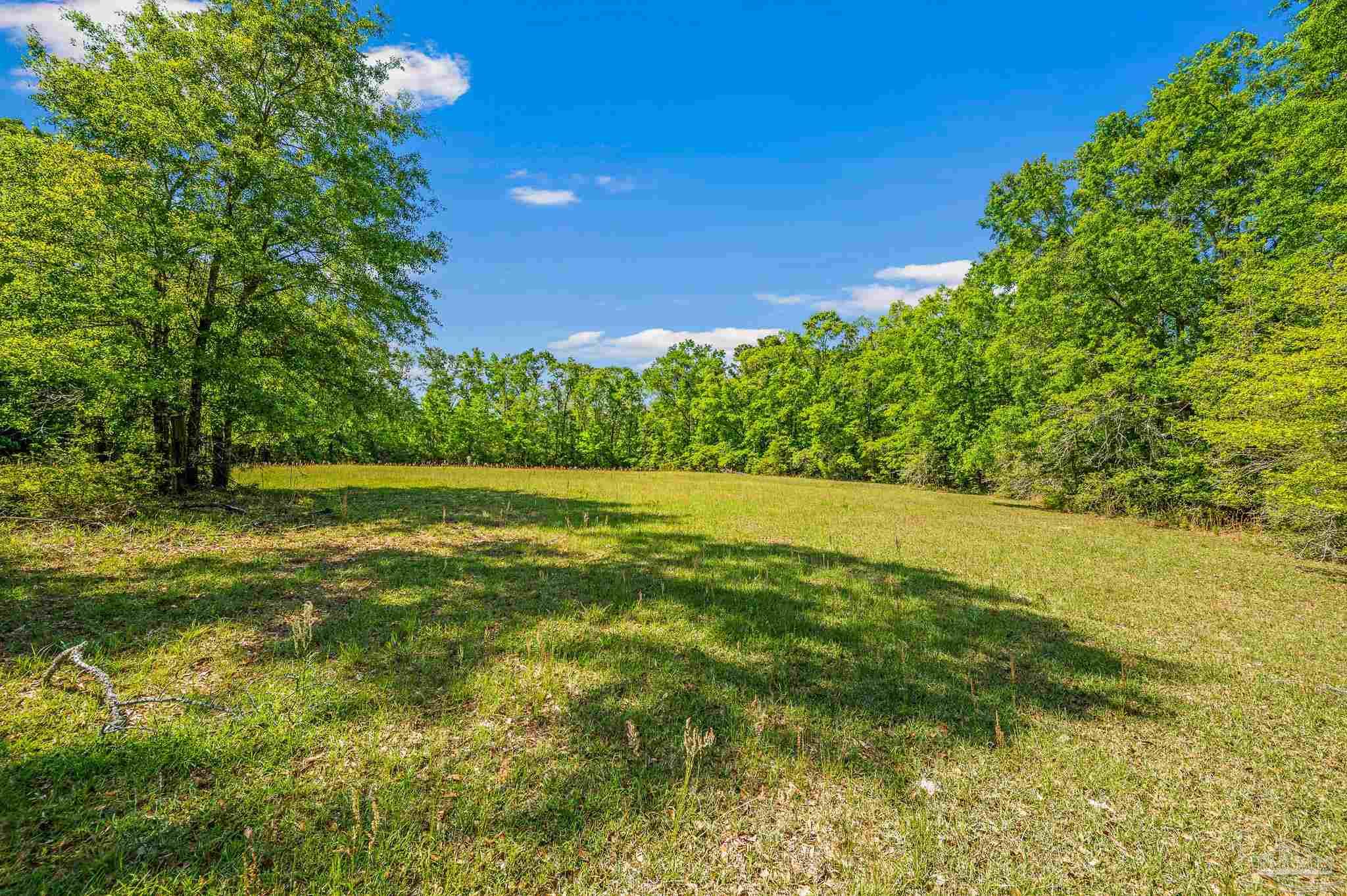 3015 Molino Road Molino, FL 32577 - Photo 8 of 35 a view of outdoor space and yard