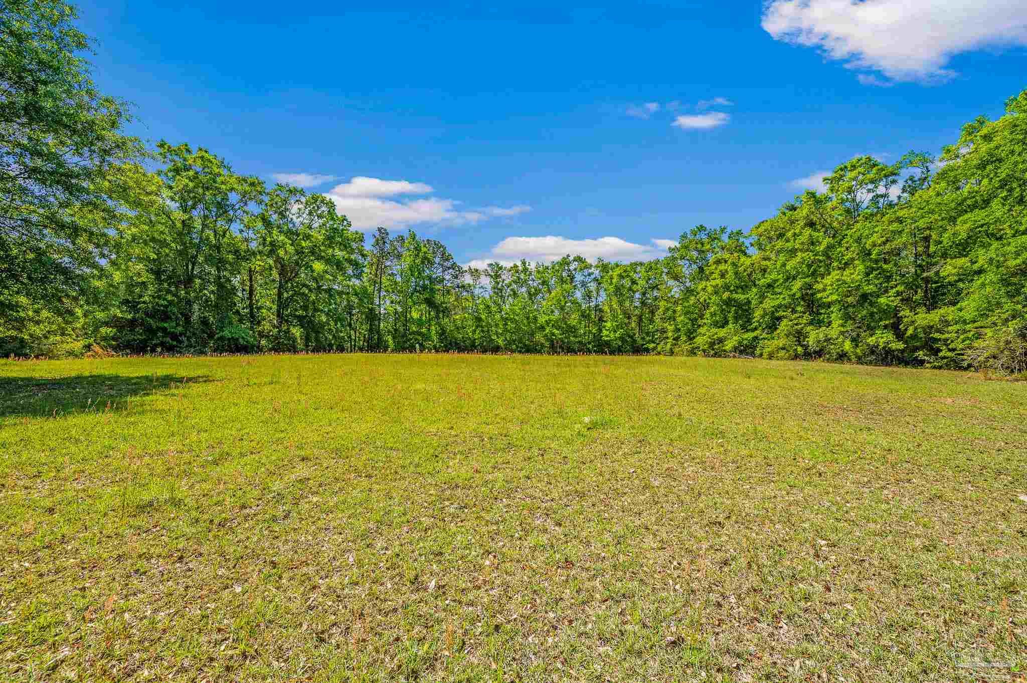 3015 Molino Road Molino, FL 32577 - Photo 9 of 35 a view of a lake from a yard