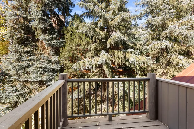 $75,000 | 129 East Hopkins Avenue, Aspen, CO 81611