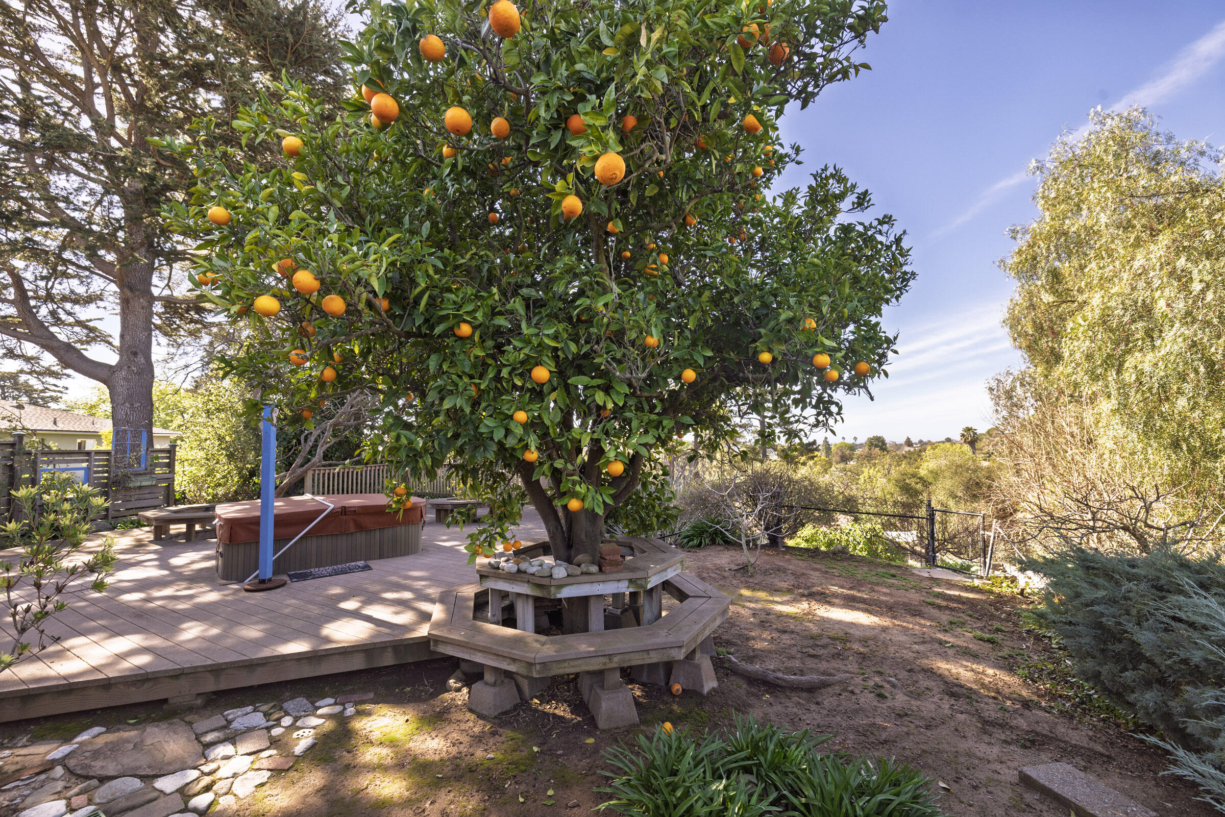 1005 Winther Way Santa Barbara, CA 93110 - Photo 28 of 33 a view of a backyard with plants and trees