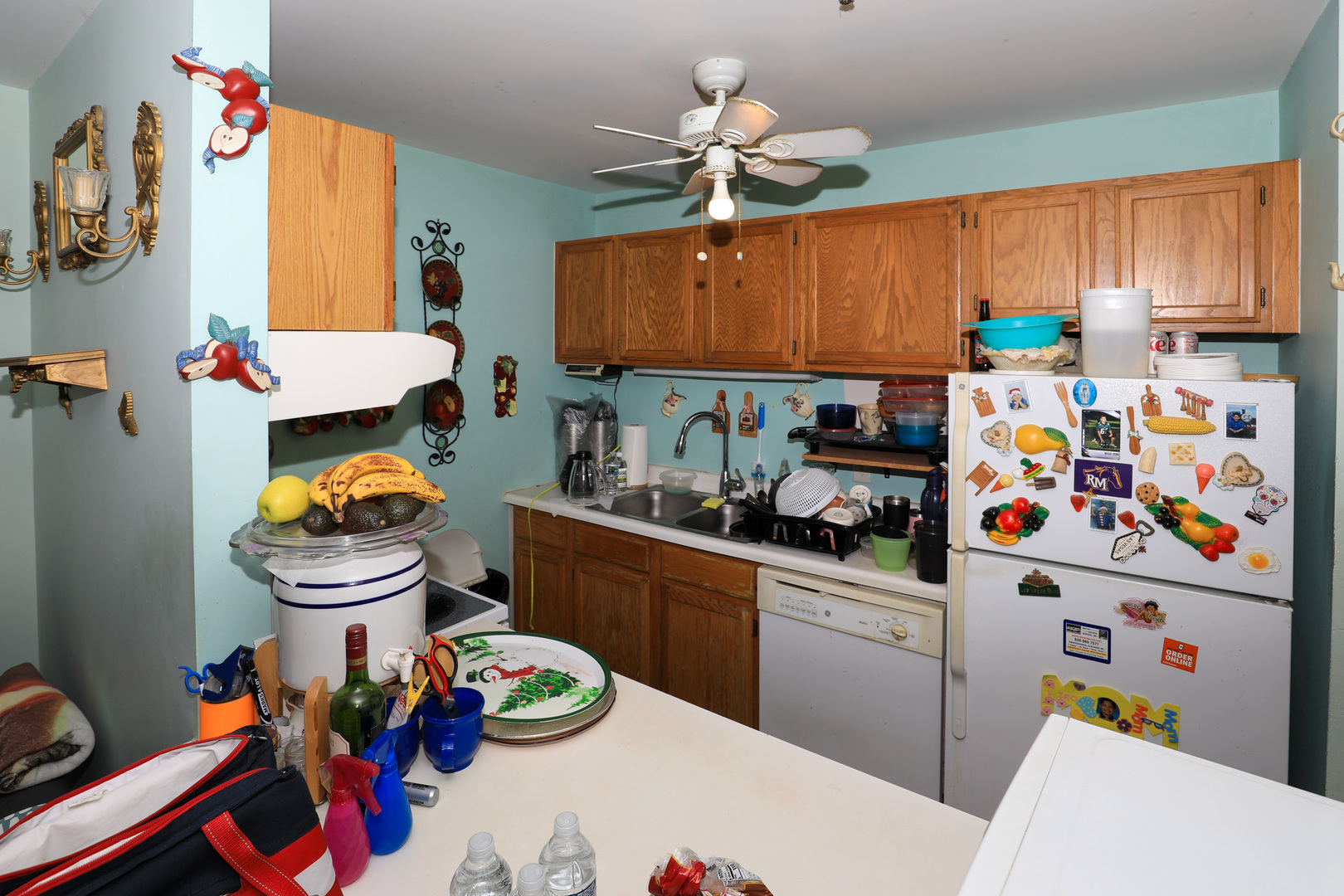 3275 Kirchoff Road, Unit 333 Rolling Meadows, IL 60008 - Photo 7 of 13