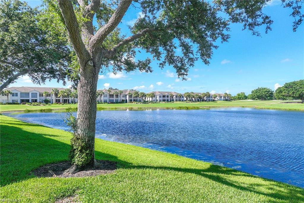 2432 Ravenna Boulevard, Unit 201 Naples, FL 34109 - Photo 32 of 49 a view of a park with large trees