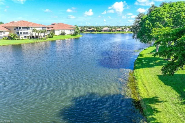 a view of a flower in a water