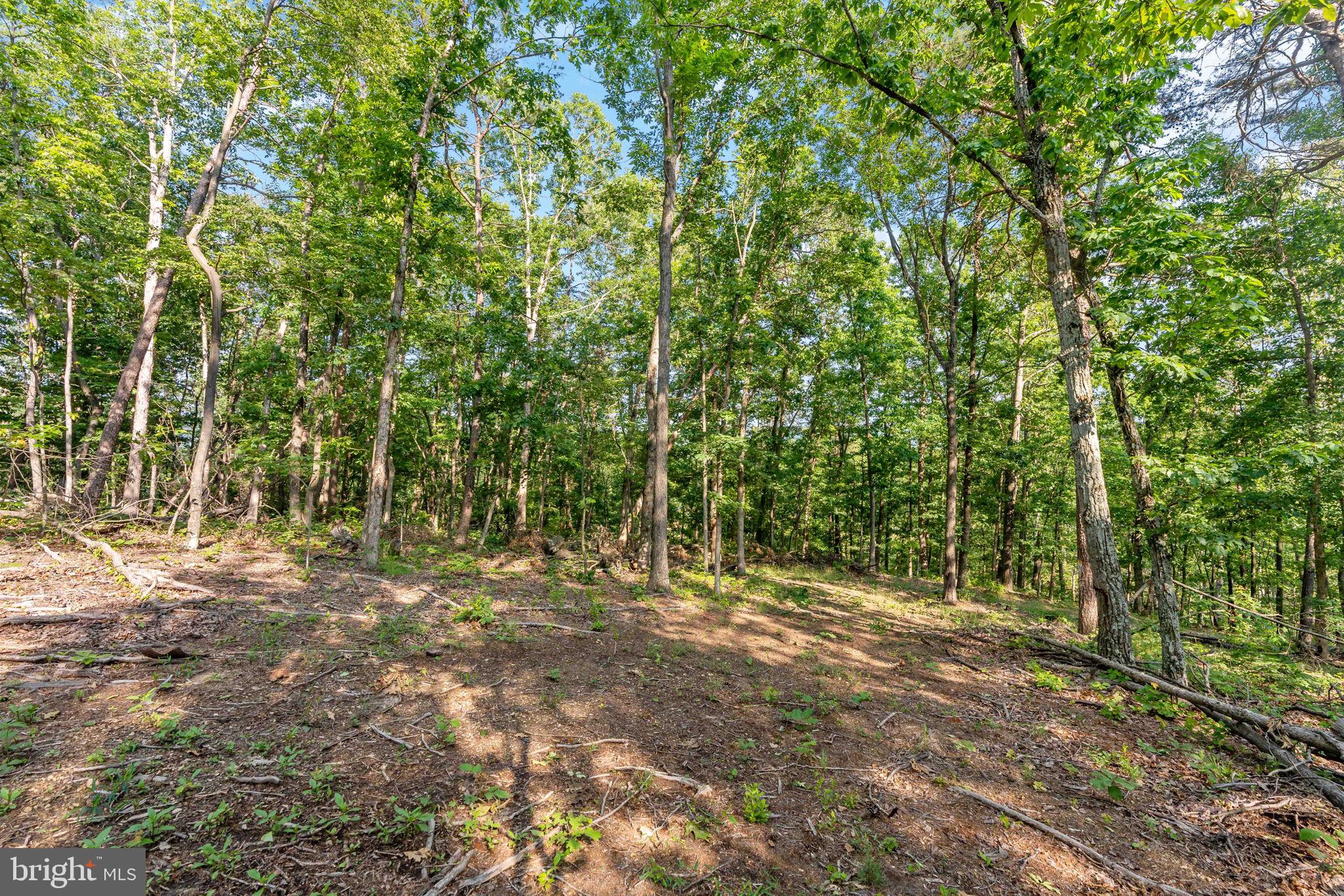 Lot A Lot A Saw Mill Road Hedgesville, WV 25427 - Photo 12 of 29 a view of outdoor space with trees