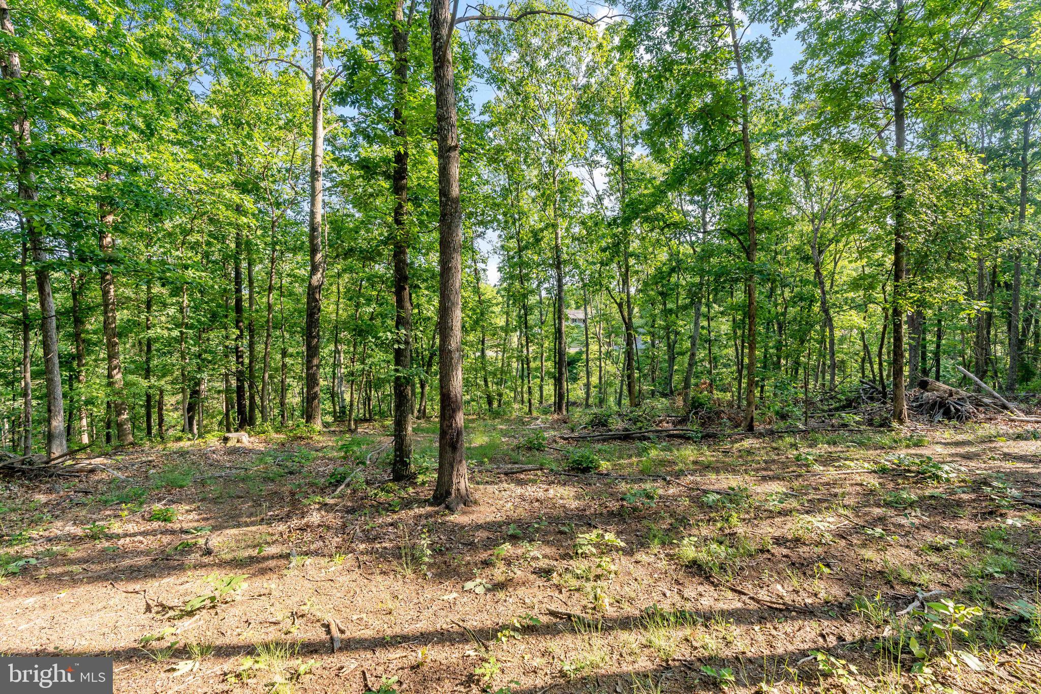 Lot A Lot A Saw Mill Road Hedgesville, WV 25427 - Photo 13 of 29 a view of a field with trees in the background