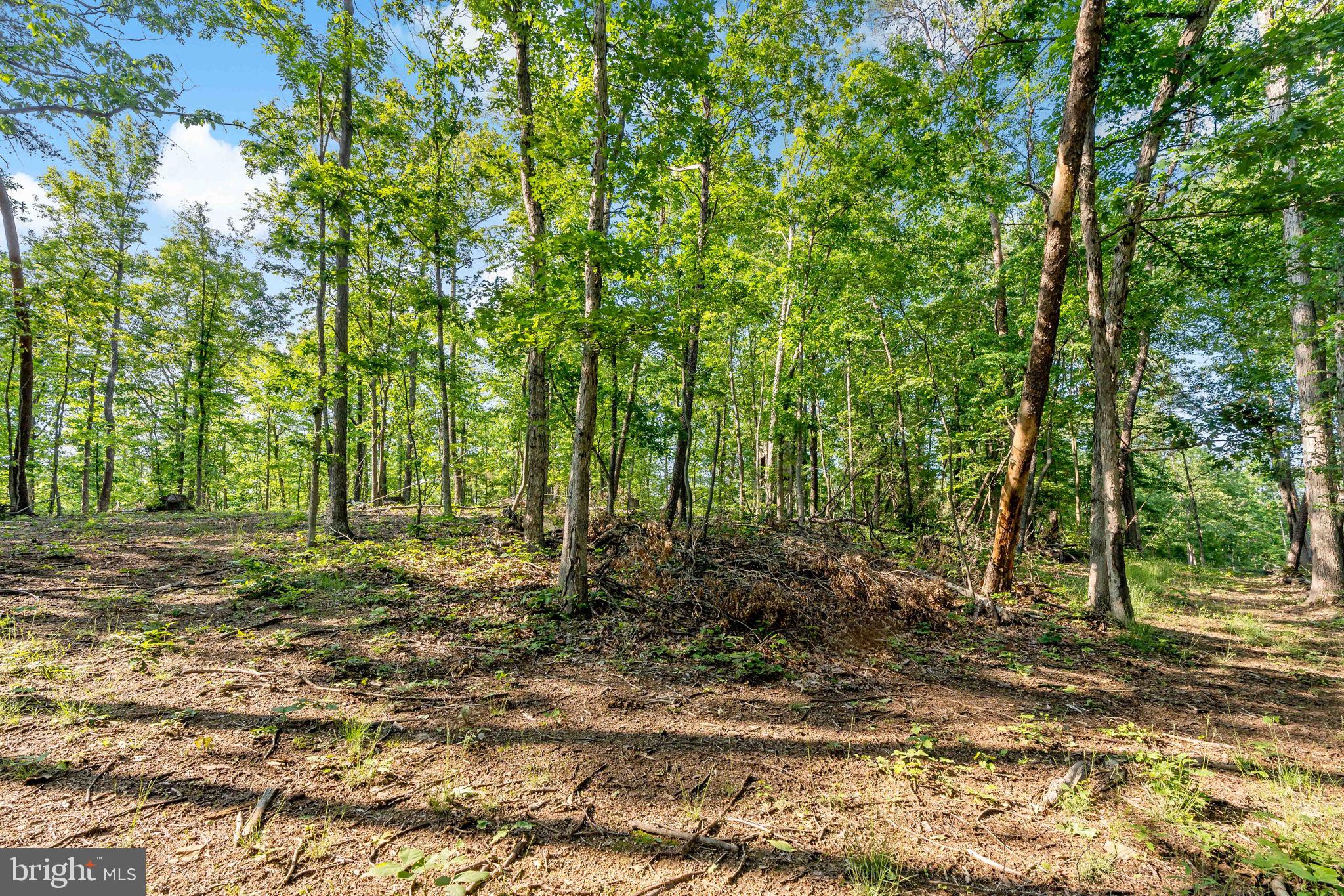 Lot A Lot A Saw Mill Road Hedgesville, WV 25427 - Photo 17 of 29 a backyard of a house with lots of green space
