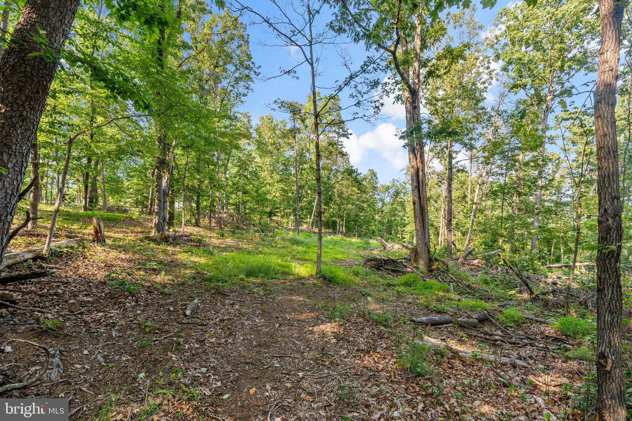 Lot A Lot A Saw Mill Road Hedgesville, WV 25427 - Photo 18 of 29 a view of outdoor space and trees