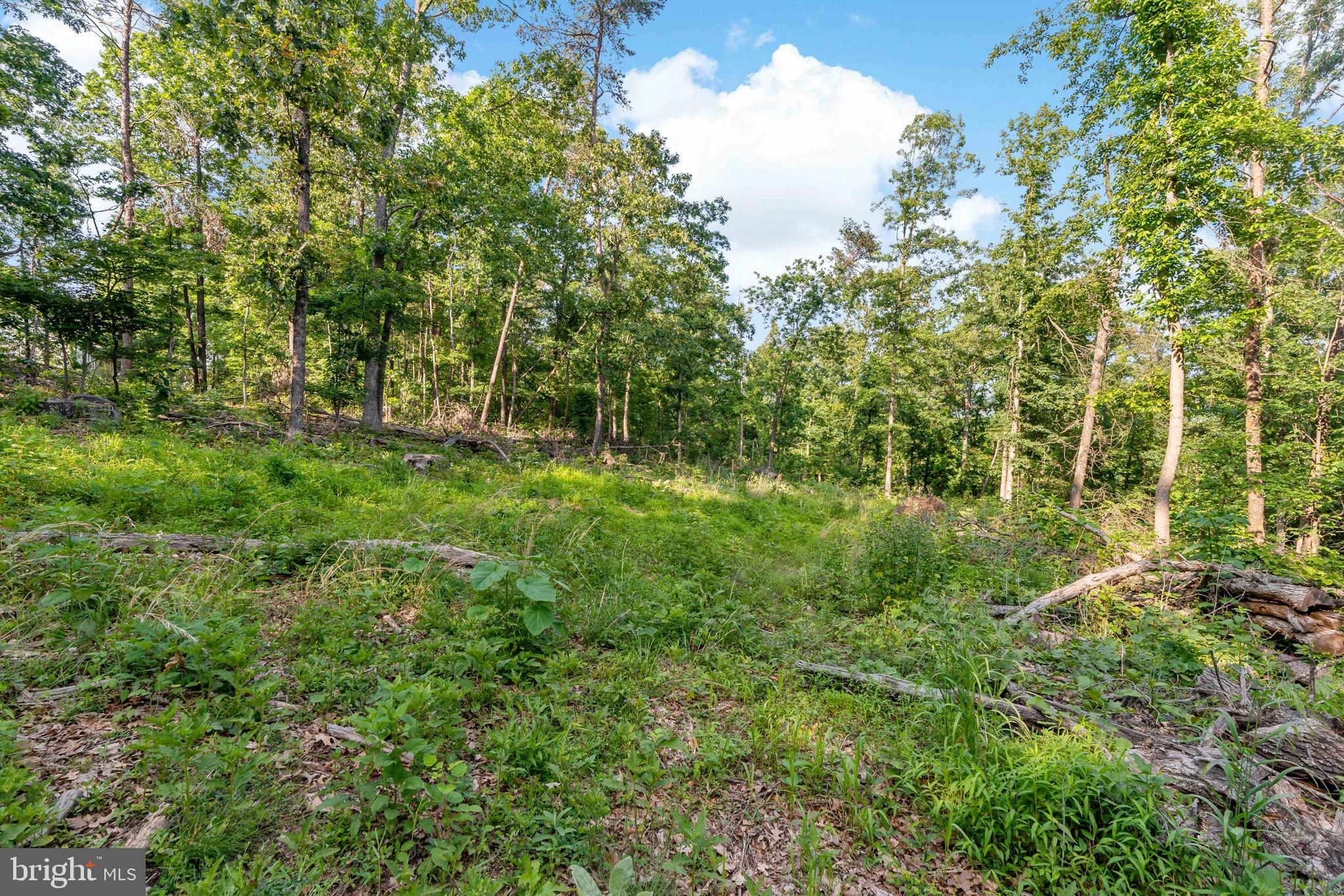 Lot A Lot A Saw Mill Road Hedgesville, WV 25427 - Photo 19 of 29 a view of yard with green space