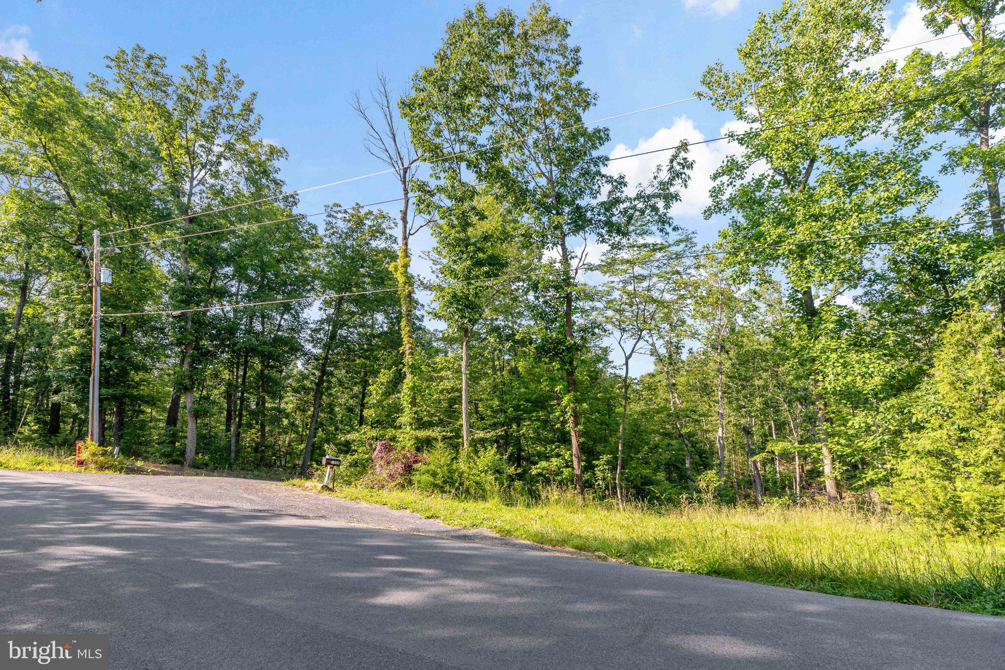 Lot A Lot A Saw Mill Road Hedgesville, WV 25427 - Photo 20 of 29 a view of a street with a small yard and large trees