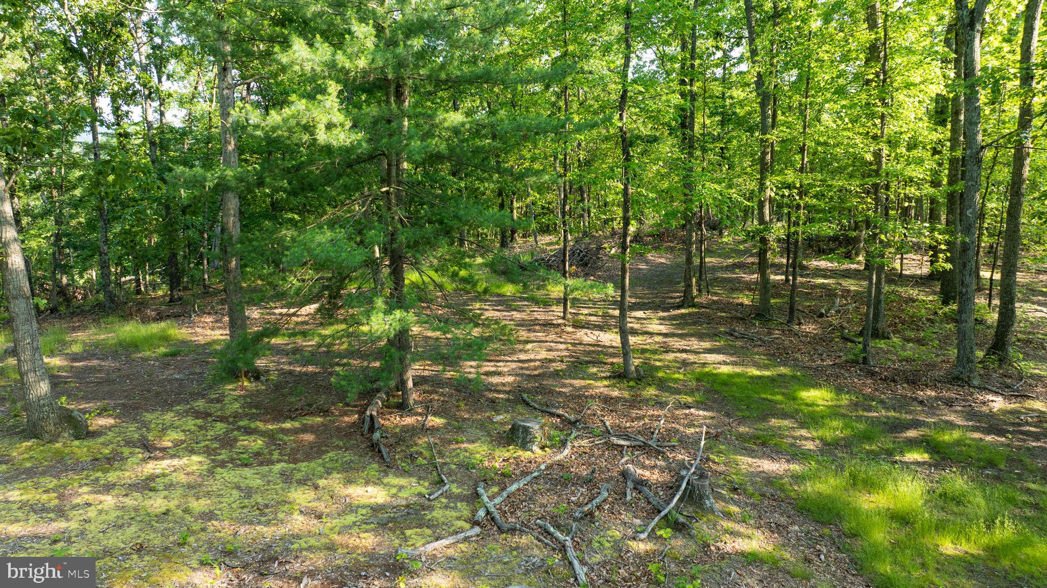 Lot A Lot A Saw Mill Road Hedgesville, WV 25427 - Photo 2 of 29 a view of yard