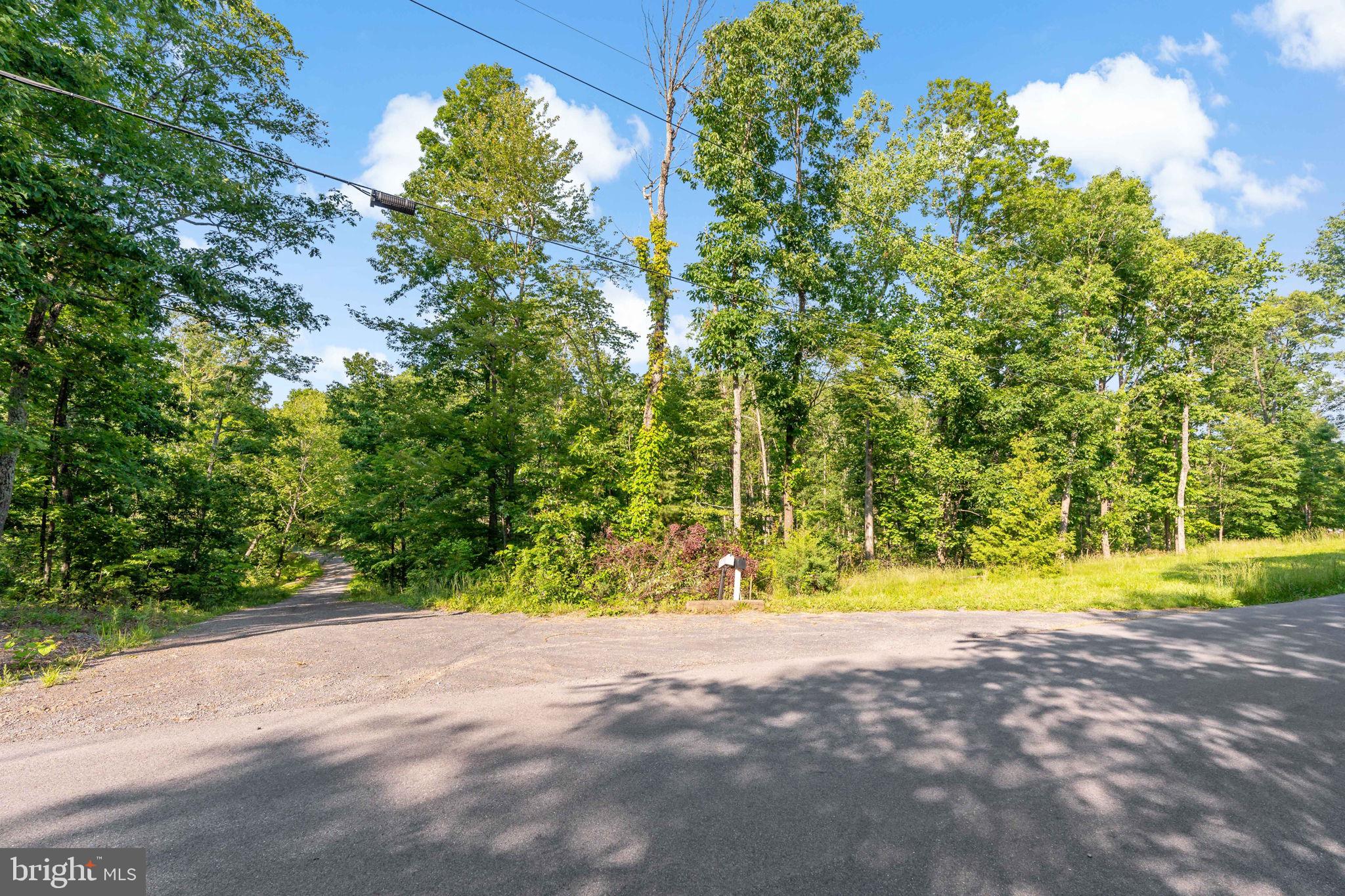 Lot A Lot A Saw Mill Road Hedgesville, WV 25427 - Photo 21 of 29 a view of a yard with plants and trees