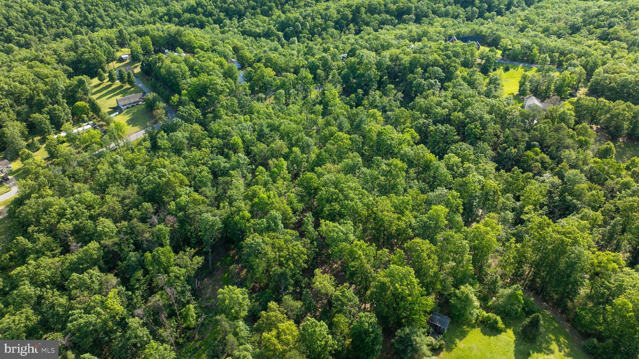 Lot A Lot A Saw Mill Road Hedgesville, WV 25427 - Photo 22 of 29 a view of a lush green forest