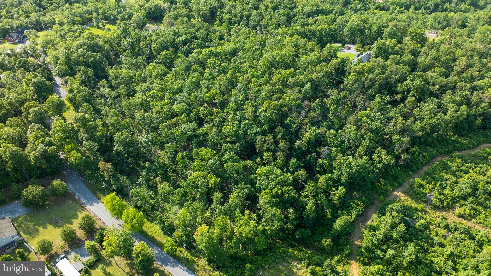 Lot A Lot A Saw Mill Road Hedgesville, WV 25427 - Photo 24 of 29 a view of a lush green forest with houses