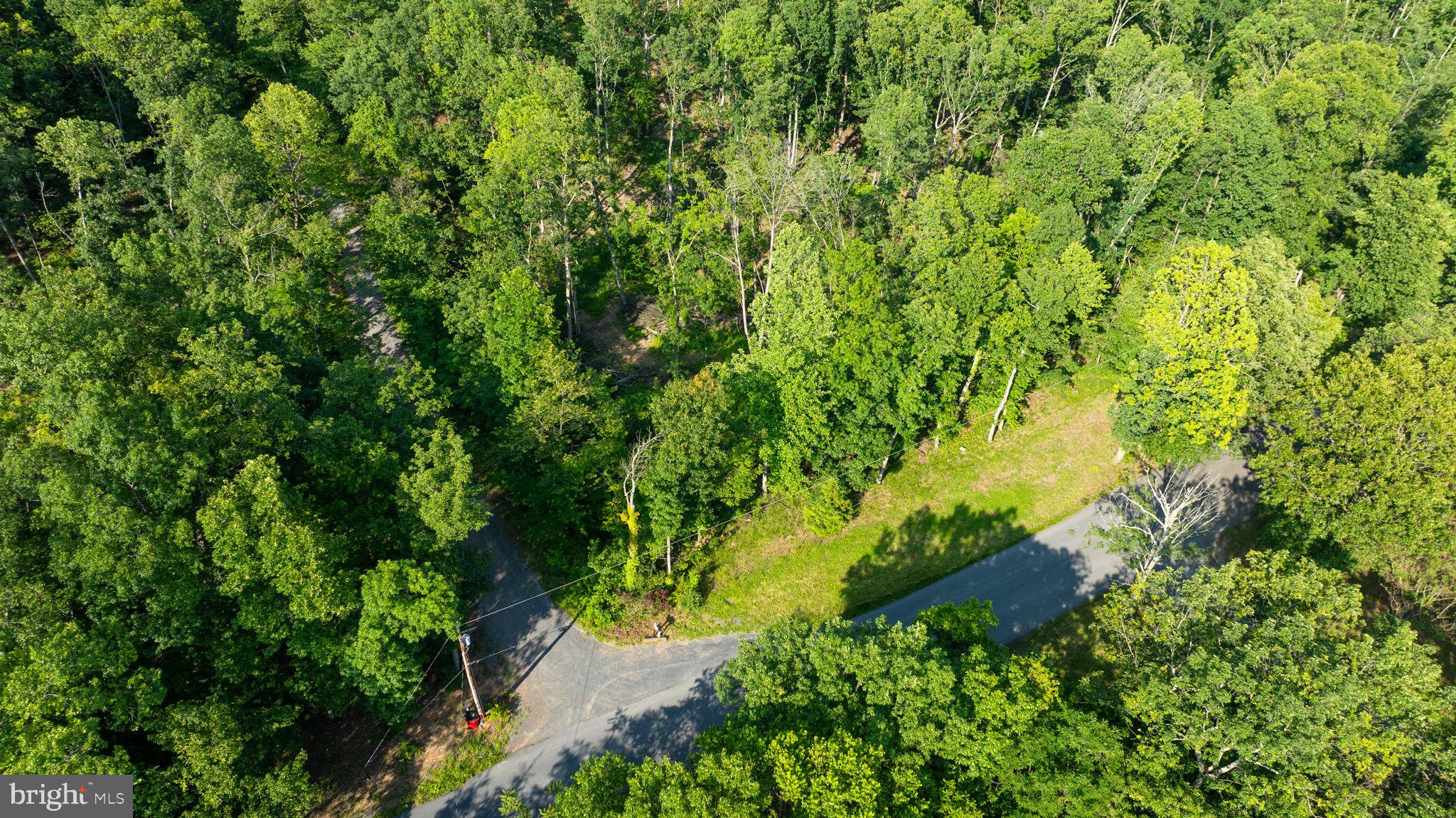 Lot A Lot A Saw Mill Road Hedgesville, WV 25427 - Photo 26 of 29 a view of a garden