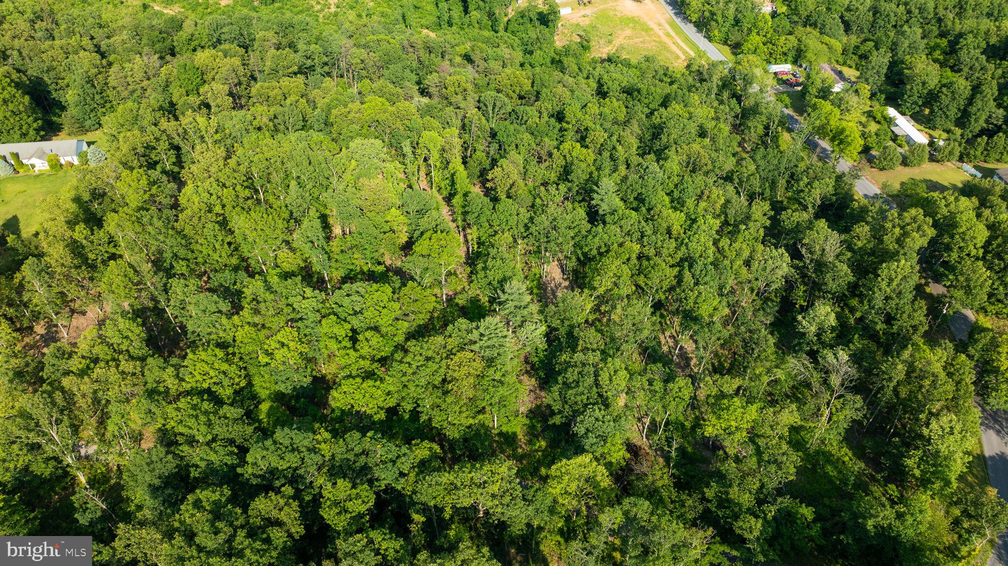 Lot A Lot A Saw Mill Road Hedgesville, WV 25427 - Photo 27 of 29 a view of a lush green forest