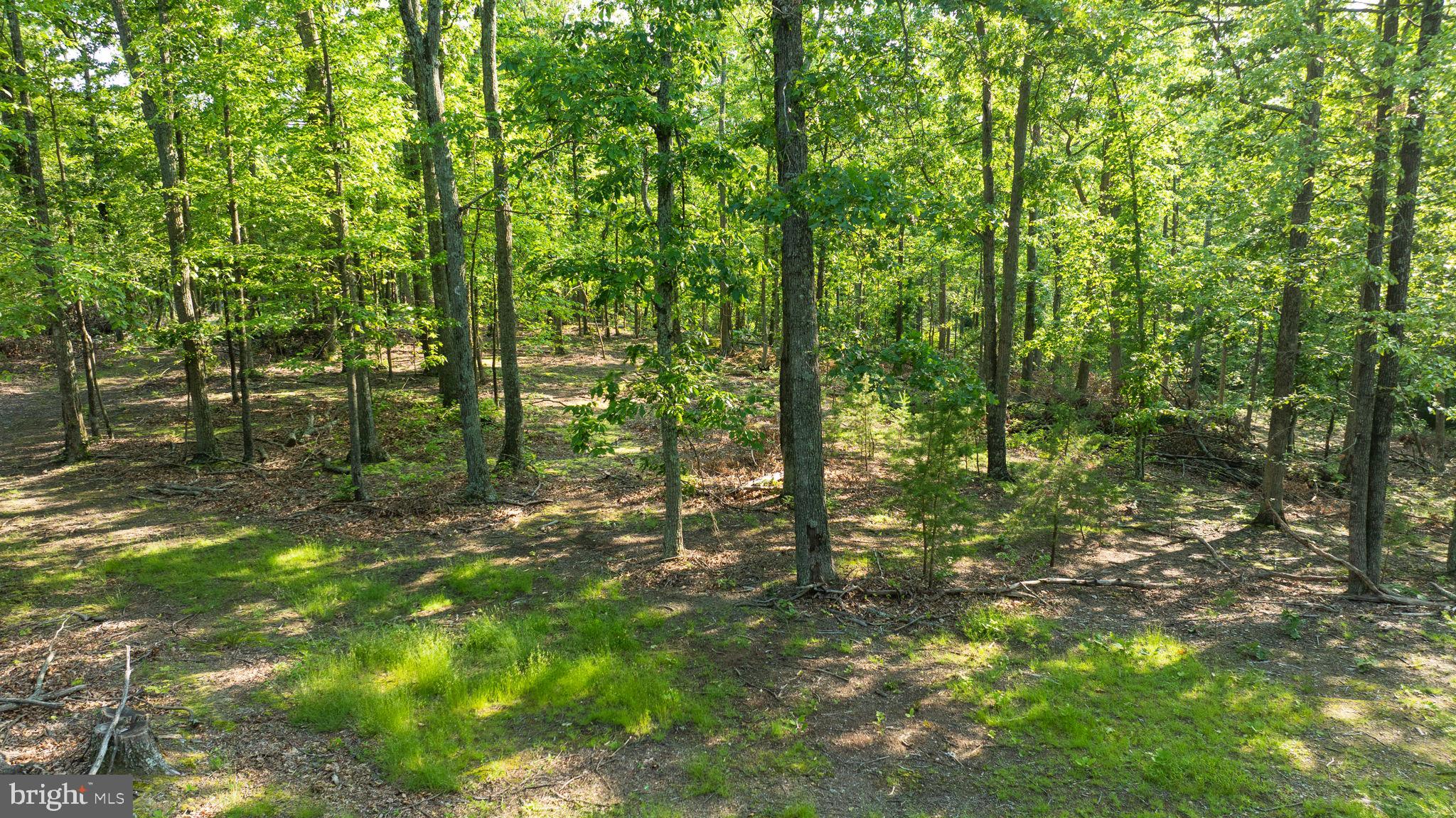 Lot A Lot A Saw Mill Road Hedgesville, WV 25427 - Photo 29 of 29 a backyard of a house with lots of green space