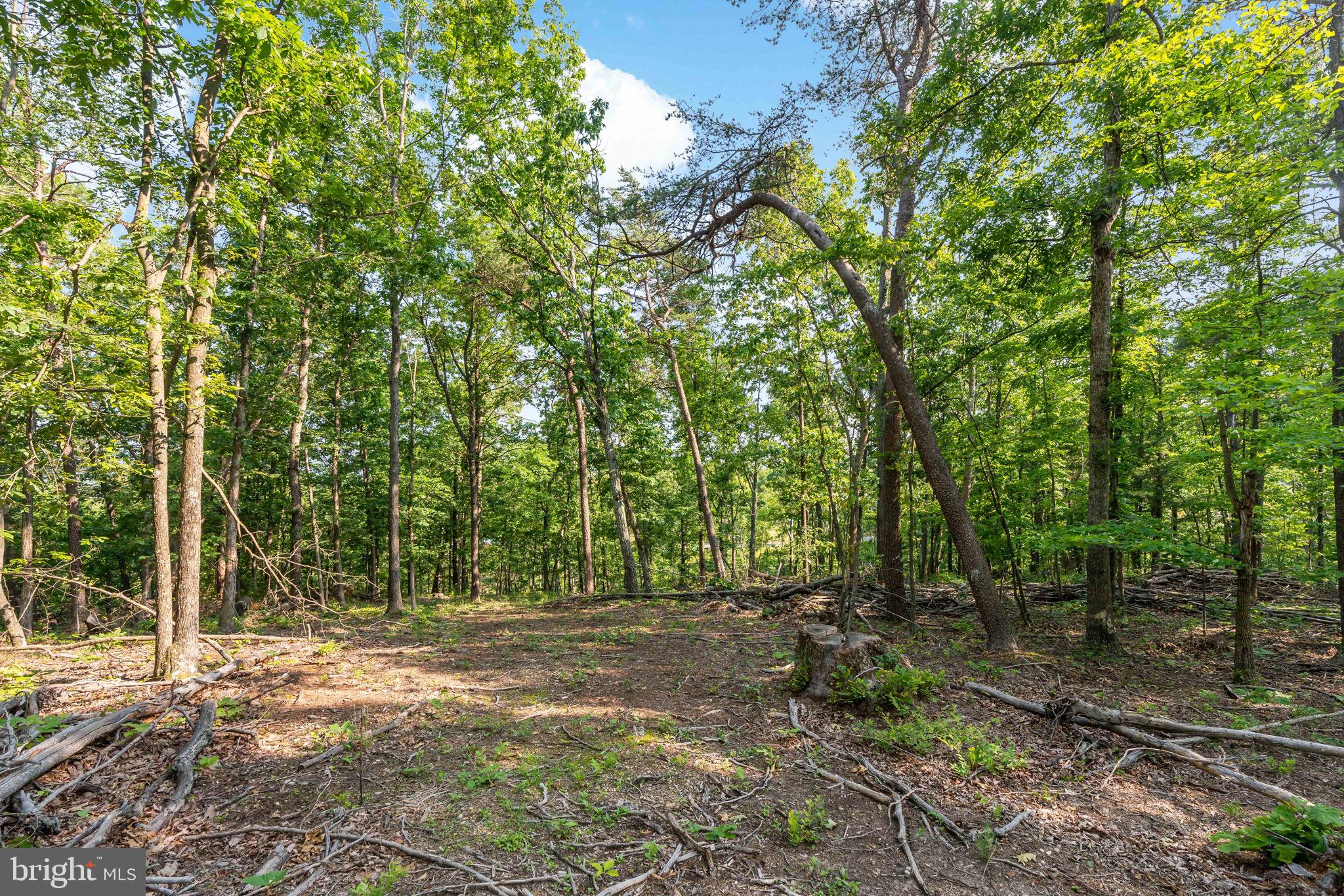 Lot A Lot A Saw Mill Road Hedgesville, WV 25427 - Photo 5 of 29 a view of outdoor space and yard