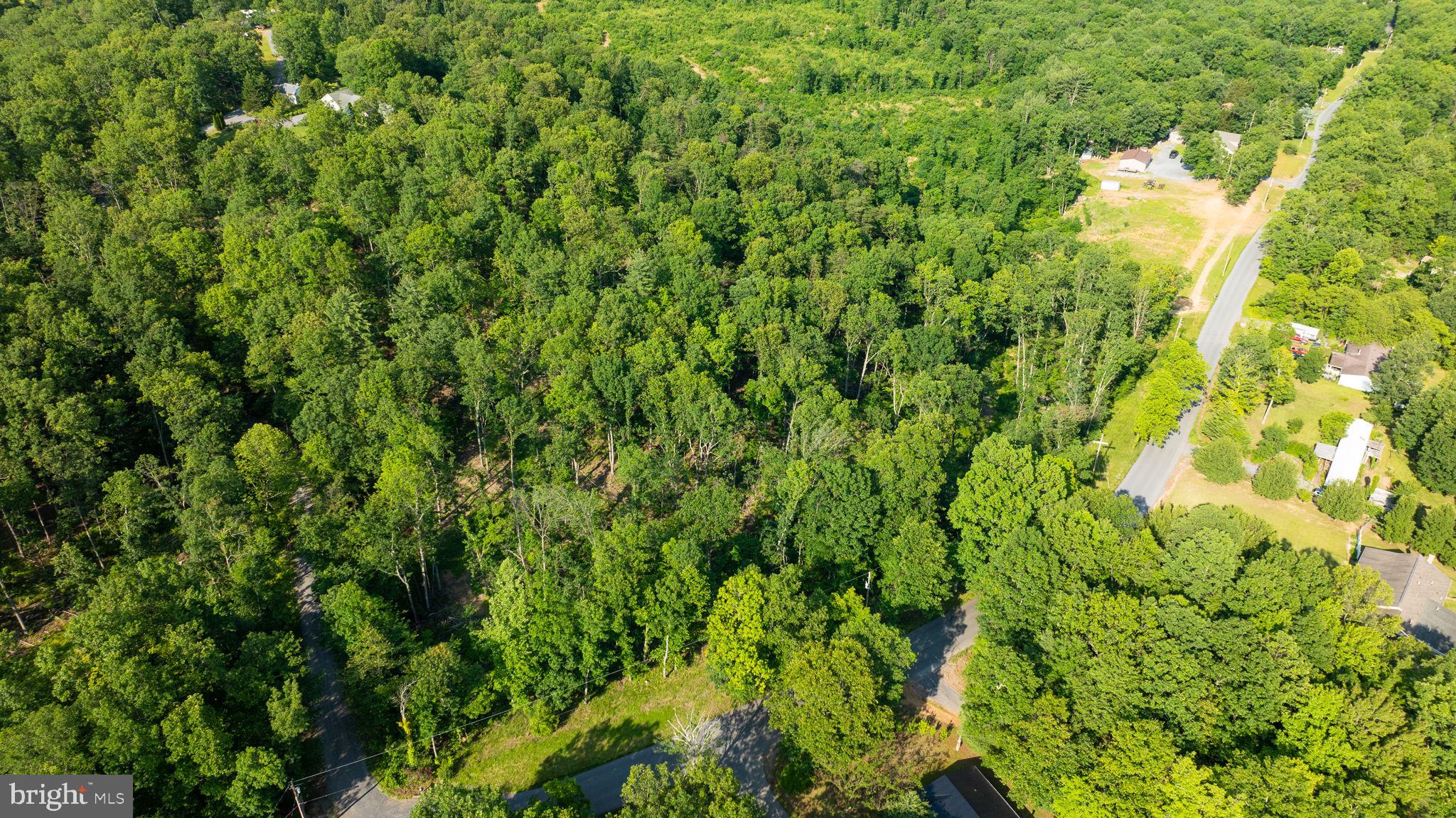 Lot A Lot A Saw Mill Road Hedgesville, WV 25427 - Photo 7 of 29 a view of a lush green forest with lots of trees