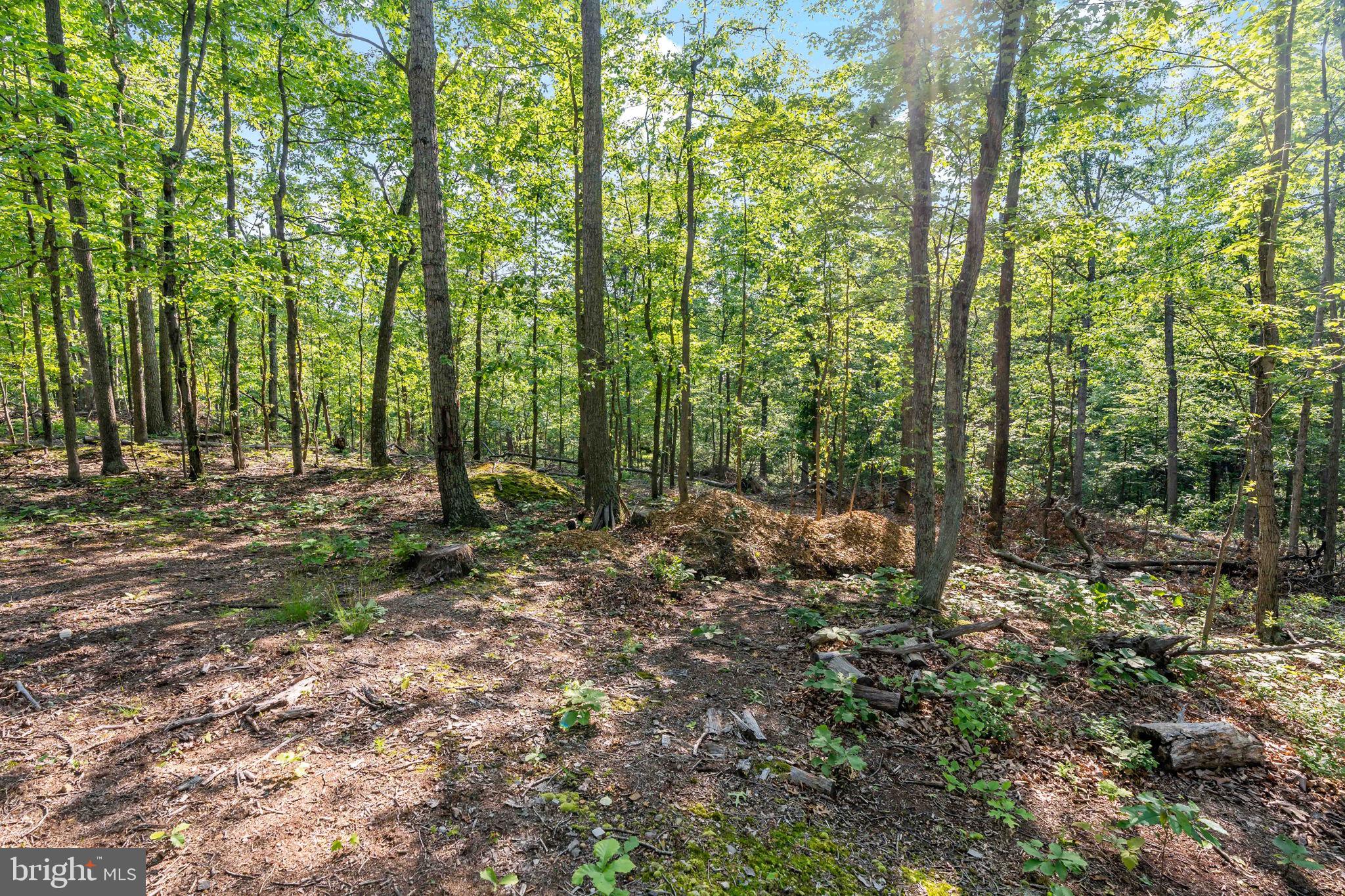 Lot A Lot A Saw Mill Road Hedgesville, WV 25427 - Photo 10 of 29 a view of outdoor space and green space