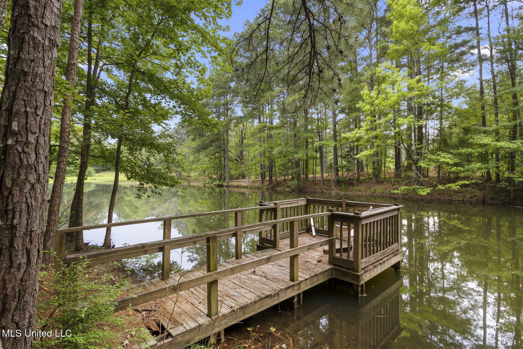 1629 Kimbell Road Terry, MS 39170 - Photo 40 of 47 Fish or just hang out!