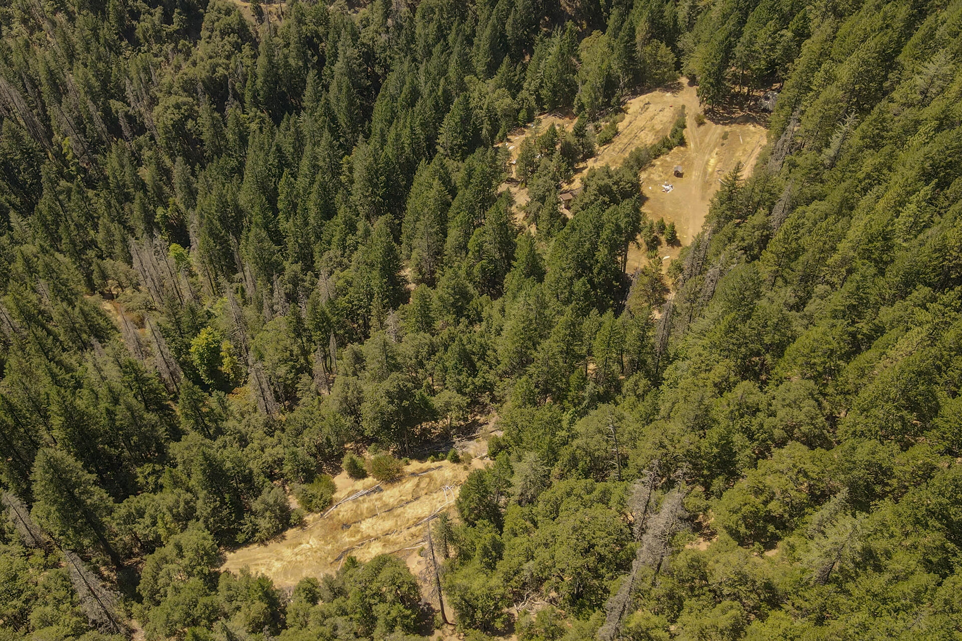 1511 Upper Moore Gulch Road Trinity Center, CA 96091 - Photo 7 of 62 0017