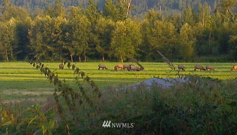 30455 Walberg Road Sedro-Woolley, WA 98284 - Photo 7 of 15 Gallery Image 7
