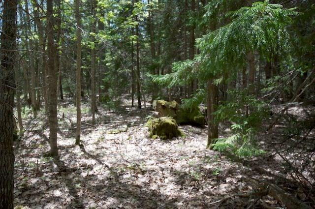 53 Ridleys Landing Phippsburg, ME 04562 - Photo 4 of 4 Photo