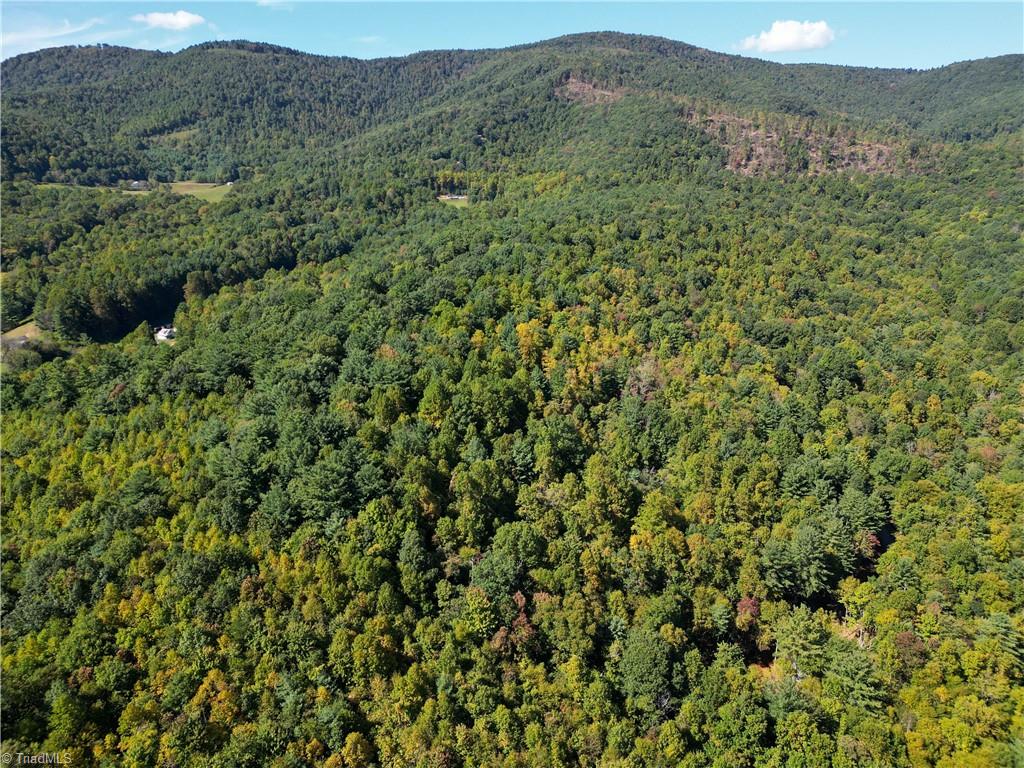 0 Orchard Road Deep Gap, NC 28618 - Photo 8 of 19