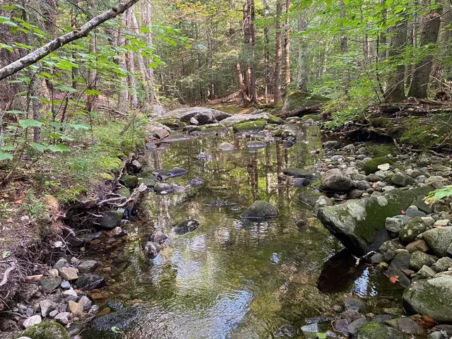 $269,900 | 1 Government Woods Road, Campton, NH 03223