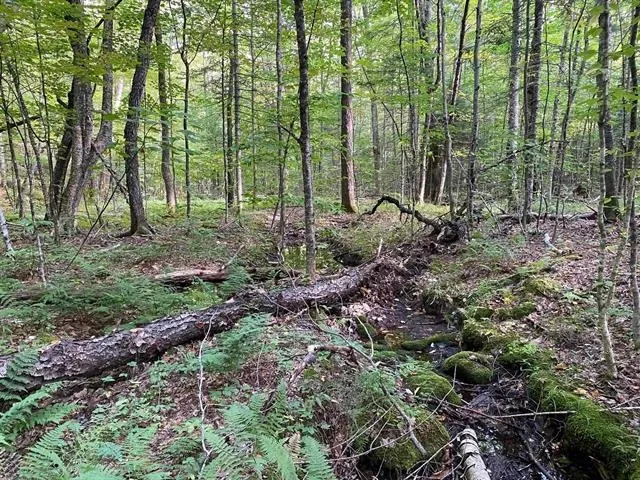 $269,900 | 1 Government Woods Road, Campton, NH 03223