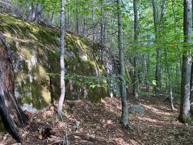 $269,900 | 1 Government Woods Road, Campton, NH 03223