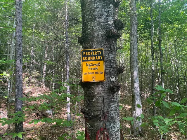 $269,900 | 1 Government Woods Road, Campton, NH 03223