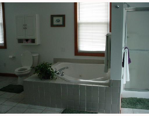 109 Sarah Street McKees Rocks, PA 15136 - Photo 6 of 11 Master Bath/Spa.