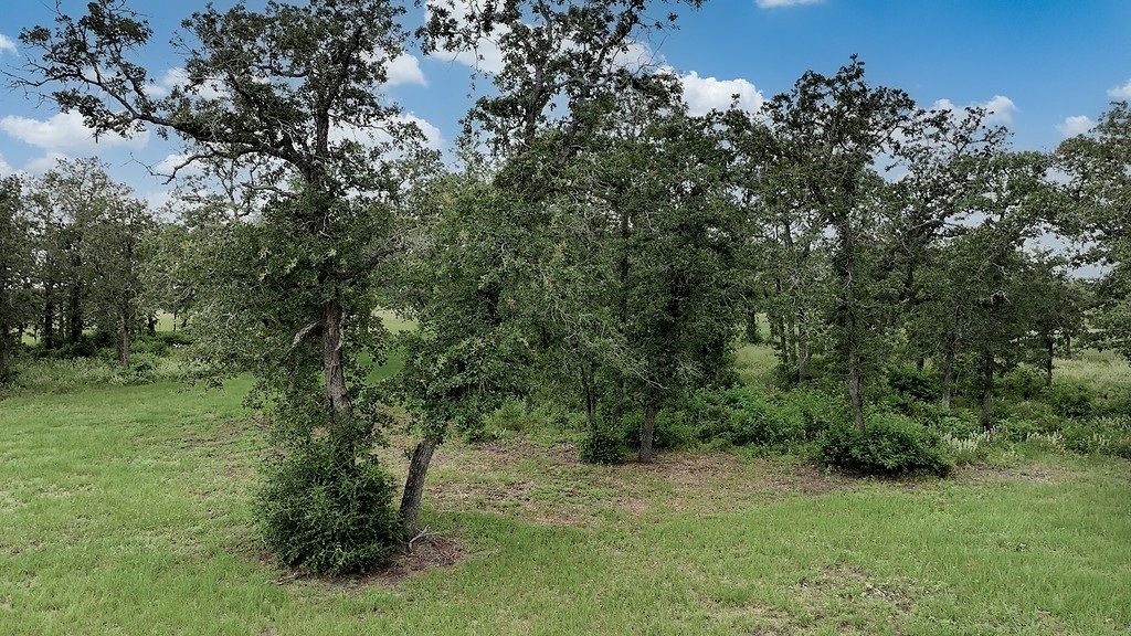 2625 Burke Road Flatonia, TX 78941 - Photo 11 of 19