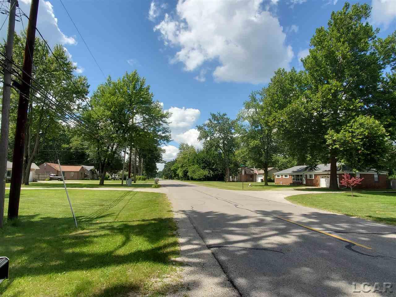 3657 Consear Road Lambertville, MI 48144 - Photo 48 of 49