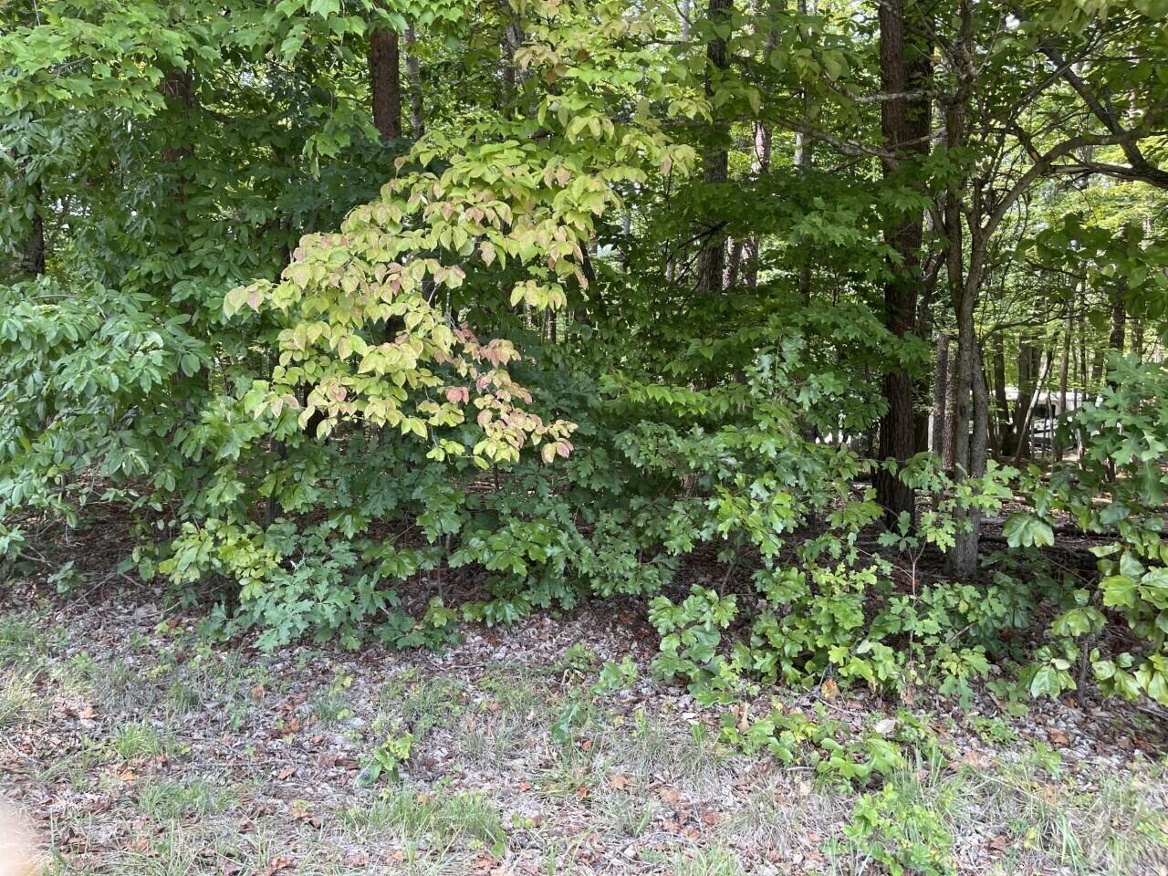 Lot 1 Jefferson Dock Road Penhook, VA 24137 - Photo 4 of 8 4