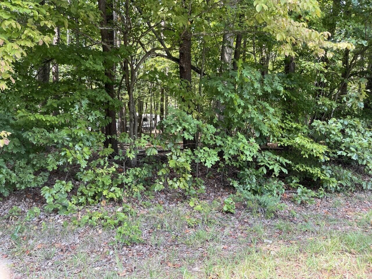 Lot 1 Jefferson Dock Road Penhook, VA 24137 - Photo 5 of 8 5