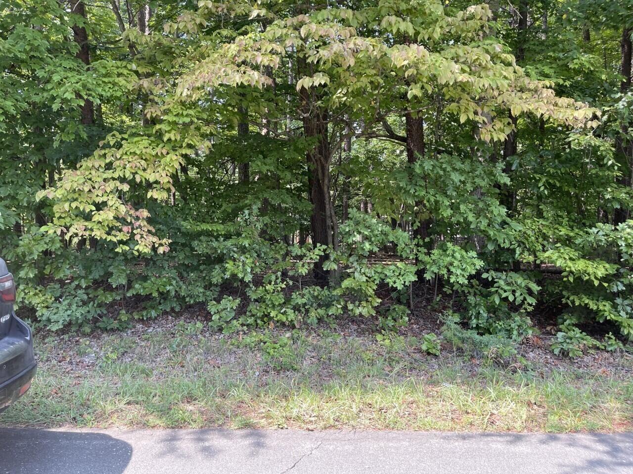 Lot 1 Jefferson Dock Road Penhook, VA 24137 - Photo 6 of 8 6