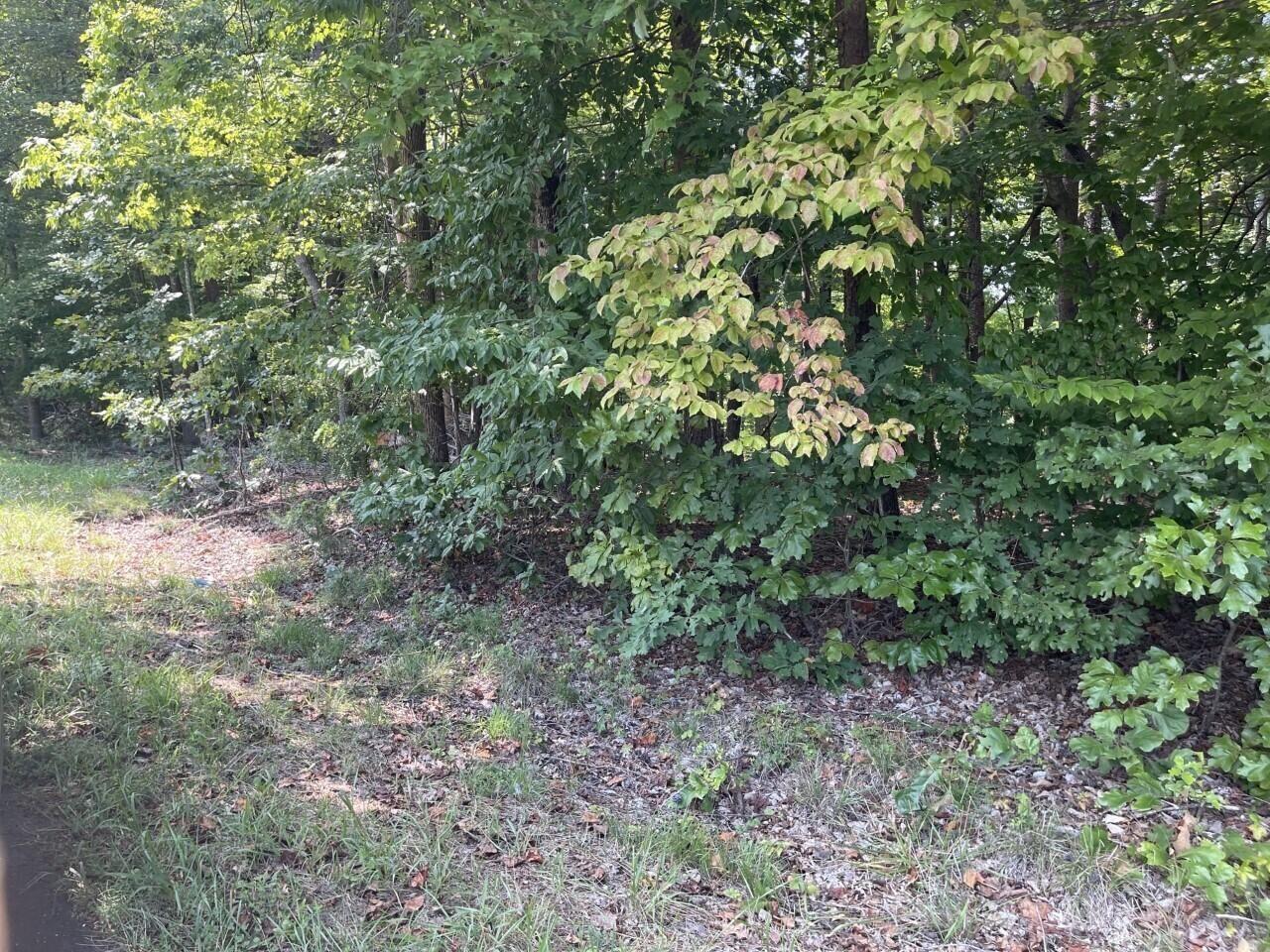 Lot 1 Jefferson Dock Road Penhook, VA 24137 - Photo 7 of 8 7