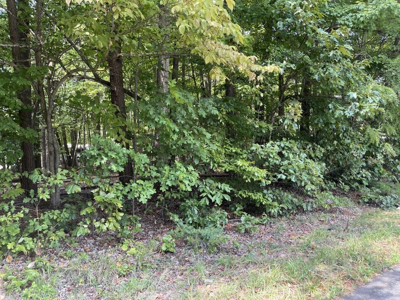 Lot 1 Jefferson Dock Road Penhook, VA 24137 - Photo 8 of 8 8