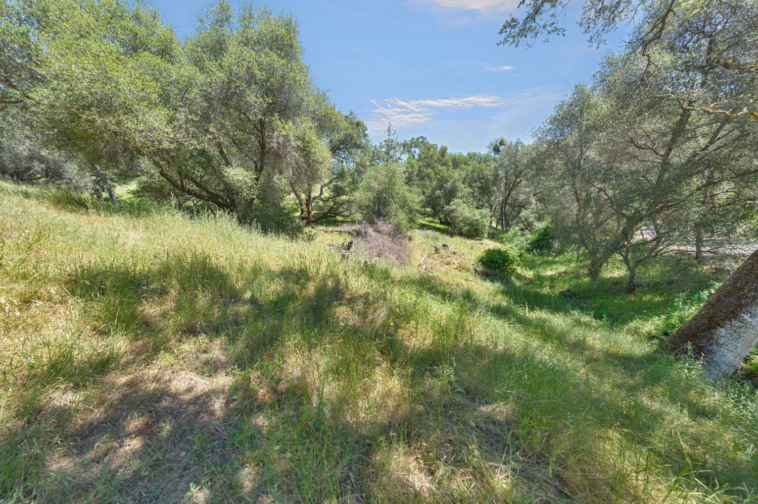 0 Bayne Road Garden Valley, CA 95633 - Photo 12 of 67 Gallery Image 12