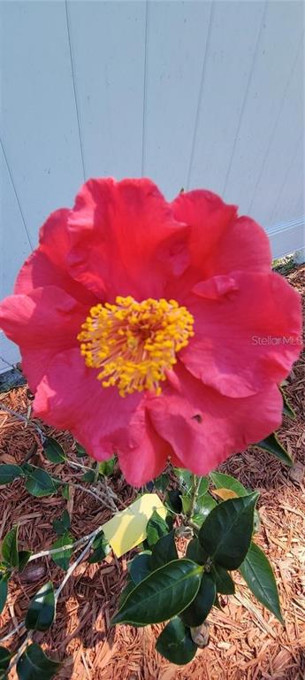 416 West Howry Avenue DeLand, FL 32720 - Photo 32 of 33